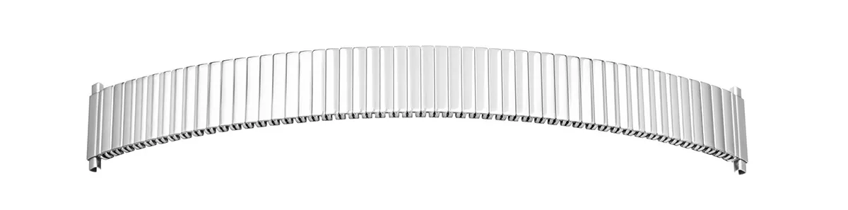 FLEXMETALEN BAND EDELSTAAL 20MM STAAL GEPOLIJST MET TELESCOOP AANZET