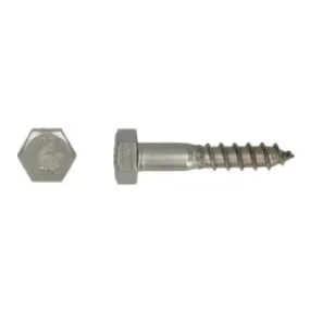 Houtdraadbout DIN 571 Ø12,0x100 A2