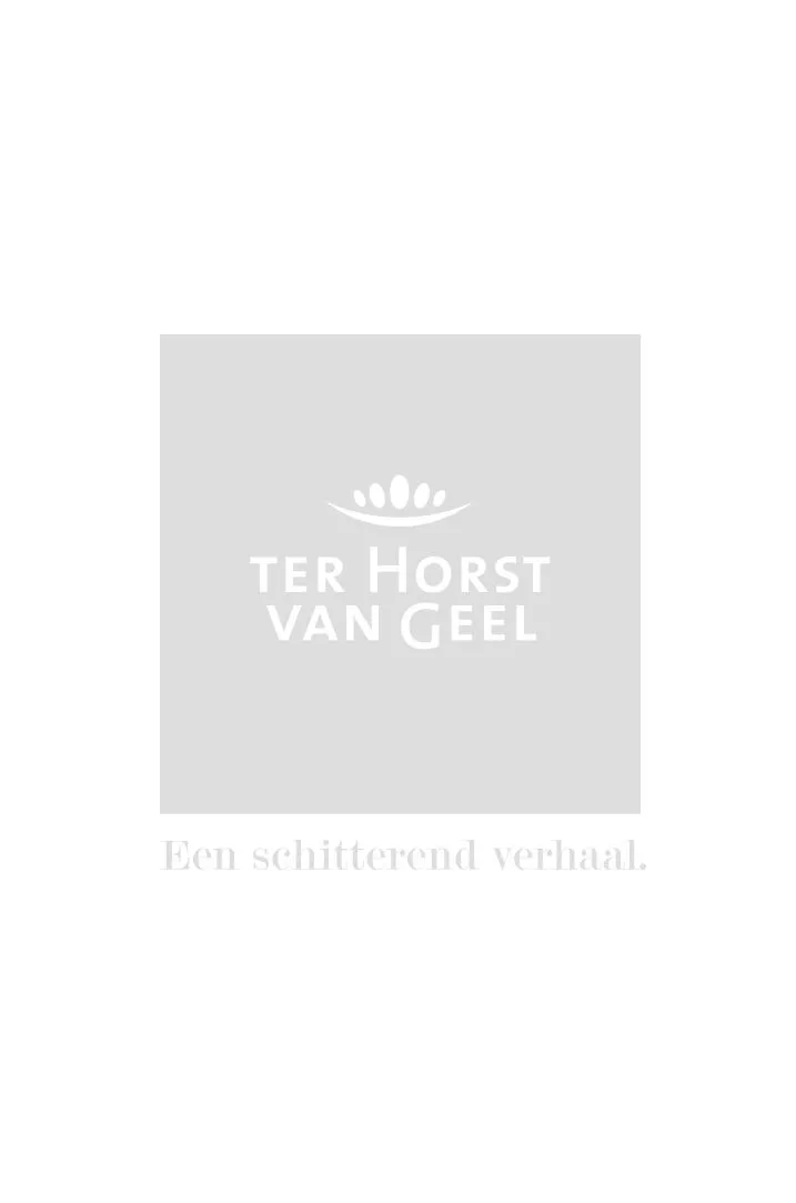 RINASCIMENTO JURK MET ALLOVER PRINT